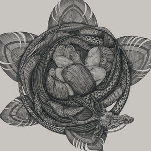 免费的插B爱爱全过程
