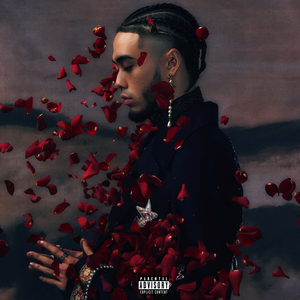 免费的插B爱爱全过程
